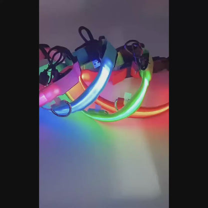 LED Glow Dog Collar – High-Visibility Night Safety