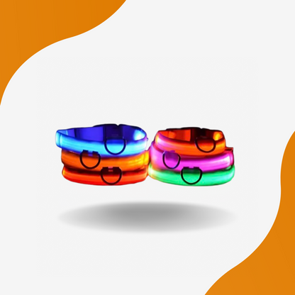 LED Glow Dog Collar – High-Visibility Night Safety