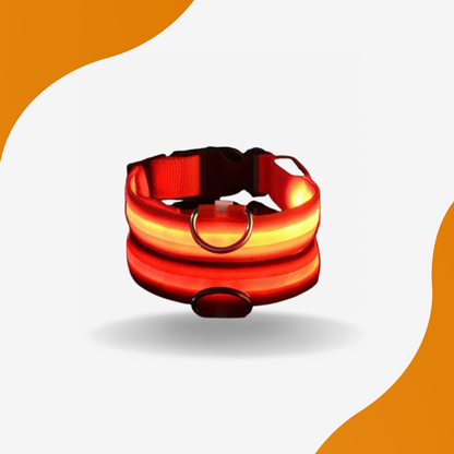 LED Glow Dog Collar – High-Visibility Night Safety